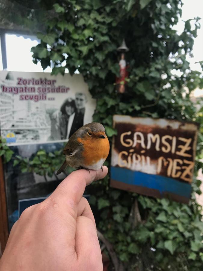 Intepe Poseidon Hotel Çanakkale Luaran gambar